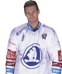 Hockey Team Sticker by HC Škoda Plzeň
