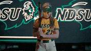 Ndsu Softball GIF by NDSU Athletics