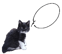 Cat Calico Sticker