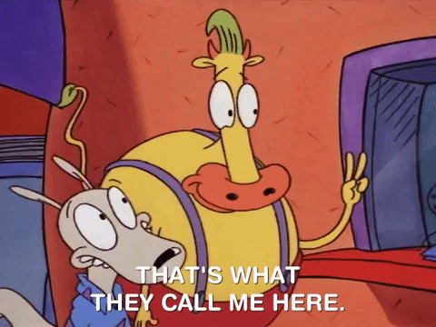 rockos modern life nicksplat GIF