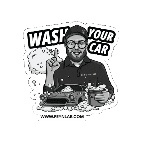 Feynlab giphygifmaker detailing car wash car care Sticker
