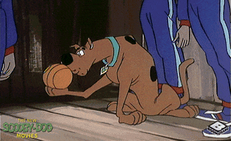 March Madness Spinning GIF by Boomerang Official