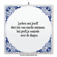 Humor Nl GIF by Tegelspreuken.nl