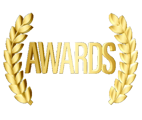 Dan Awards Sticker by IamDanRam