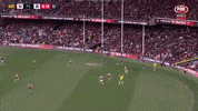 portadelaidefc afl showdown port adelaide port adelaide power GIF