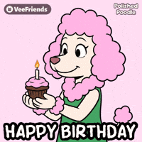 Happy Birthday Dog GIF by VeeFriends