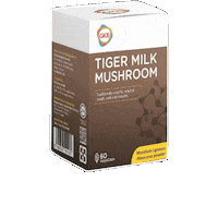 Health Mushroom Sticker by GKB