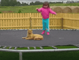 trampoline GIF