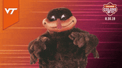 College Sports Mascots GIF by College Colors Day