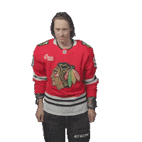 Tyler Bertuzzi Chicago Sticker by NHLBlackhawks