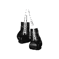 Mad City Sticker by madcity boxing