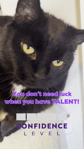 Confidence GIF