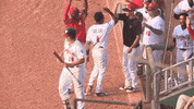 lansing lugnuts dance GIF