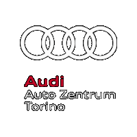 Diviesto diviesto diviestoaudi auditorino Sticker