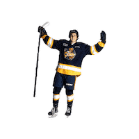 ottershockey ohl erie otters otters hockey erie otters hockey Sticker