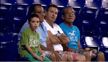 mia GIF by MLB