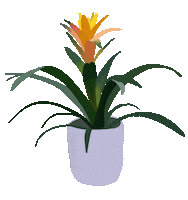 Plants Jungle Sticker