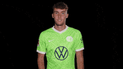 Champions League Love GIF by VfL Wolfsburg