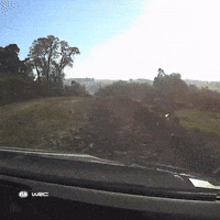 Paraguay GIF by FIA World Rally Championship