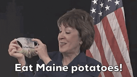 Susan Collins GIF by Election 2020