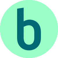 Budelincstudio studio rotterdam budelinc solutions créatives Sticker