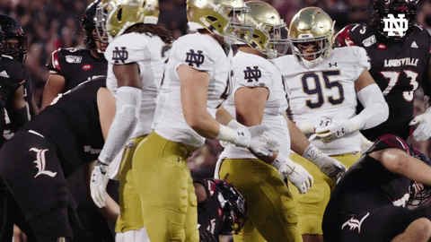 Notre Dame Nd Football GIF by Notre Dame Fighting Irish