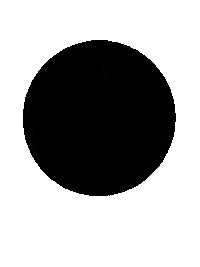 New Book Shib Sibs Sticker by PenguinKids