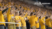 north dakota state crowd GIF by NDSU Athletics