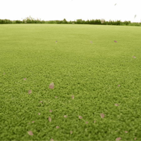 Snail Mail GIF by TeaCosyFolk