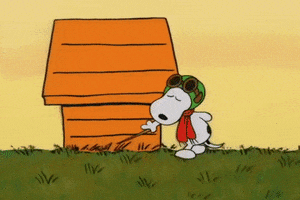 Charlie Brown Halloween GIF by Peanuts