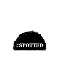 Thespot Sticker by Spotlight News