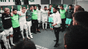 Football Soccer GIF by Sporting CP