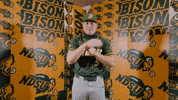 Baseball Bison GIF by NDSU Athletics