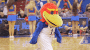 skipping allen fieldhouse GIF by University of Kansas