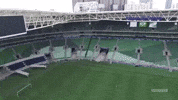 allianz parque GIF by SE Palmeiras