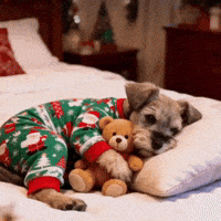 Sweet Dreams Cute Dog GIF