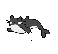 Killer Whale Cat Sticker by TeaBag