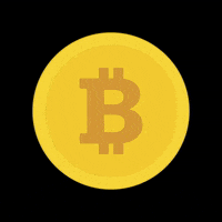 Bitcoin Crypto GIF