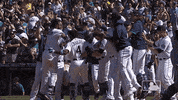 Regular Season Sport GIF by MLB