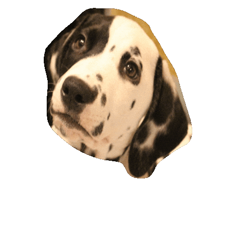 Sei Sticker