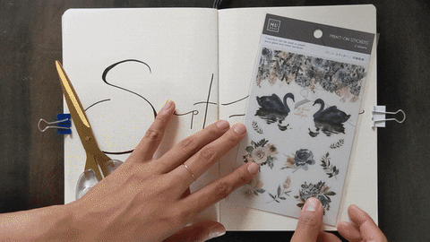 scriptandsea giphyupload design stickers journal GIF