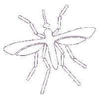 mosquito STICKER