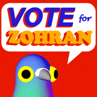 Democratic Socialist Bird GIF by abj.world