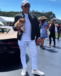 Pomeranian Hypercar GIF