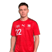 Switzerland Suisse Sticker by Swiss Football Association