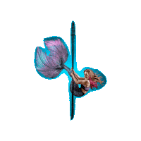 Dance Mermaid Sticker by wonderlandpole