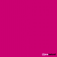 jewbelost fashion protest palestine activism GIF