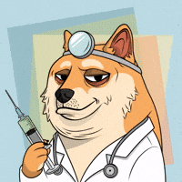 Shiba Inu Dog GIF by Doge Pound