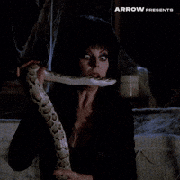 Sexy Drag Queen GIF by Arrow Video
