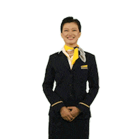 Bow Hello Sticker by Lufthansa Group Communications